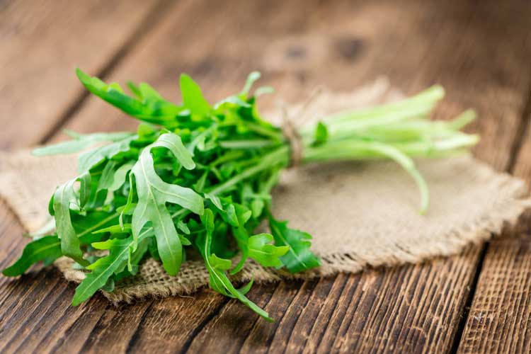 Rucola bewaren